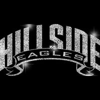 GLT37 SILVER GLITTER Thumbnail